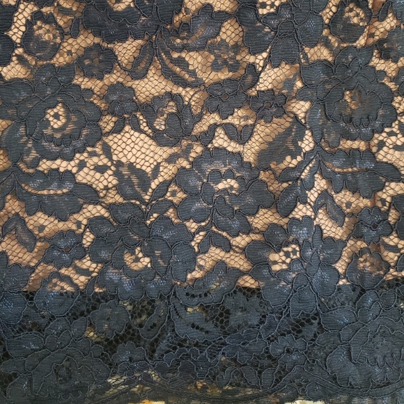 Molly Bracken Short Lace Sheath Dress Blue… - Picture 8 of 9